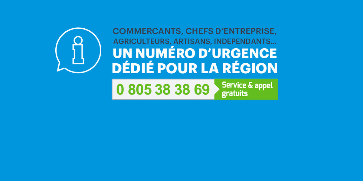 N° VERT REGION POUR LES AIDES AUX ENTREPRISES